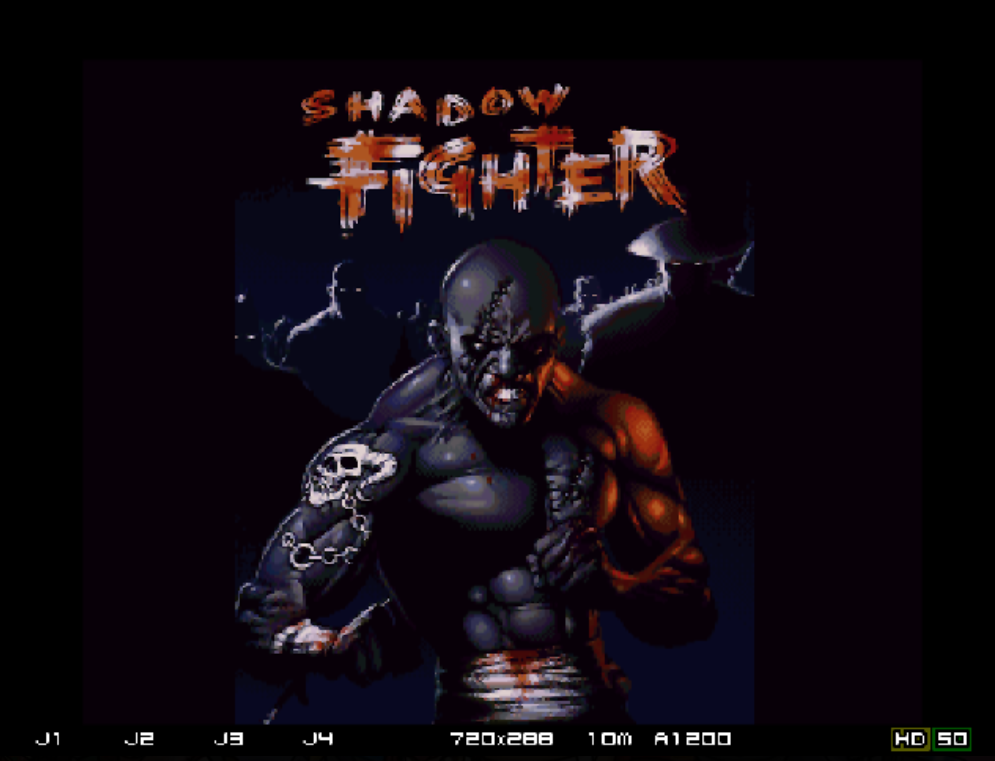 Shadow Fighter v1.0 ECS : Amiga Play Online in your browser
